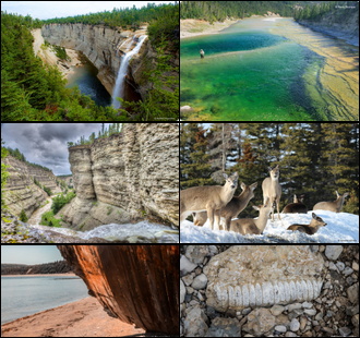 Six belles photos de l'Île d'Anticosti : chute blanche à travers une forêt de sapins; baie verte au soleil; falaises rocailleuses le long d'une rivière naturelle; groupe de chevreuils sur la neige; vieux bateau échoué, en bois foncé; fossile blanc sur une pierre.