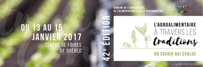 Bannière officielle du site: « L'Agroalimentaire à travers les traditions - Un savoir qui évolue », sur fond d'une photo très floue de rangées de chou vet lime sur un champ de terre brune.  Dessins de pousses vertes limes.