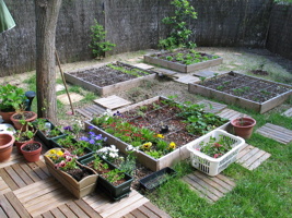 Photo d'un beau jardin divisé en quatre carrés, entouré d'un mur en bois.  Il y a un arbre au milieu.