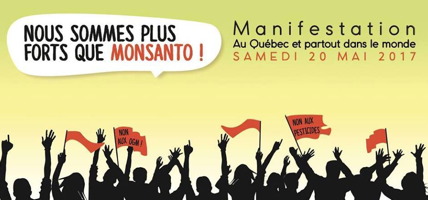 Bannière Internet pour le Québec : foule manifestante, en ombres noirs, avec quelques drapeaux rouges se lisant « Non aux OGM ! », « Non aux pesticides ». Nous sommes plus forts que Monsanto !  Manif au Québec et partout dans le monde. Samedi 20 mai 2017.