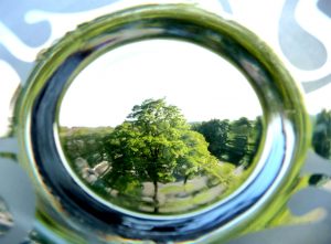 Image : on voit un arbre vert à travers un anneau bleu eau et vert forêt. La qualité est pratiquement photographique.