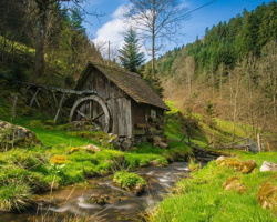 Peinture : dans une forêt boréale très verte, un mini-moulin en bois fonctionnant avec le courant d'un petit cours d'eau.  Il est entouré de mousses vertes vives.