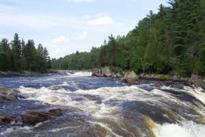 Photo d'une rivière rapide, entourée de forêt boréale, de sapins.