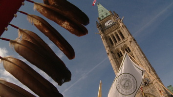 Photo : des plumes ornementales près de l'optique ; derrière, la tour du Parlement fédéral sur un ciel bleu.