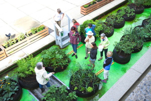 Photo : un jardin en deux rangées droites, sur fond vert lime, dans un espace extérieur du Grand Théâtre de Québec.  Une dame aux cheveux blancs expliquent de quoi à neuf personnes devant elle.