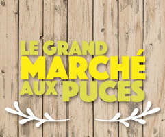 Sur fond de bois, beige ou brun pâle : « Le Grand marché aux puces ».
