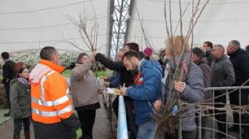 Photo d'une des distribution passée : un homme au manteau orange de sécurité surveille ; un homme au manteau bleu prend en note ; une foule de gens attendent leur arbre.