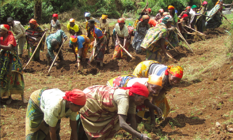 photo: derrière, vingtaine de femmes africaines travaillent la terre. Devant, 4 autres ramassent des plantes au sol.