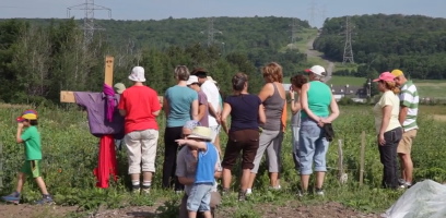 Capture d'écran du film : dizaine d'adules et deux enfants regardent attentivement leur espace de jardinage sur une terre de Québec. Tours électriques dans le décor.
