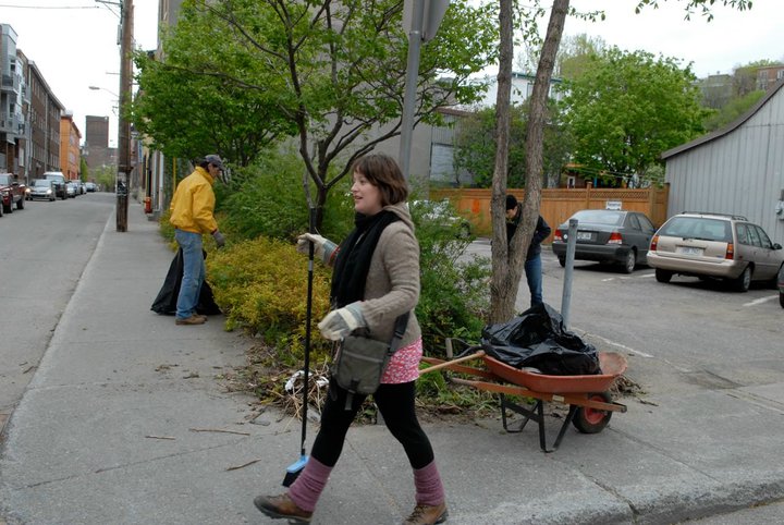 photo : une jeune femme portant des gants de travail et un monsieur portant un manteau jaune et une calotte sont occupés à ramasser les déchets aux bords de la rue, où il y a des arbres et des plantes..