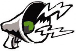 logo : un mégaphone blanc, au coeur vert, crachant deux ondes de son