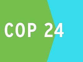 Carré, un côté vert et l'autre bleu ciel saturé : COP 24.