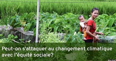 Photo d'une jeune femme asiatique travaillant dans un champ vert de plantes grandes et hautes. Elle porte un bébé sur son dos et un gilet rouge.