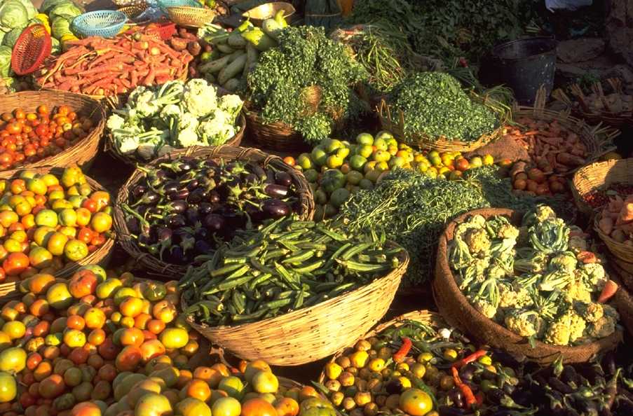 Photo de nombreux paniers de légumes côte-à-côte.