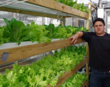 Photo : Système aquaponique, c'est-à-dire des tablettes en bois, quatre étages dans ce cas, et les plants verts sont dans des bacs blancs. Un homme, aux vêtements décontractés et au regard sérieux regarde la caméra.