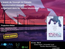 Affiche : photo d'un lac mauve ; une dizaine d'éoliennes au long ; drapeau géant du Canada couvrant le ciel ; mini-affiche du film sur laquelle on voit le réalisateur, en vêtement hivernaux, la tête vers le bas et les mains levés.