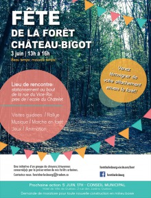 Affiche sur d'une grande photo couleur d'une forêt très verte - Fête de la forêt Château-Bigot