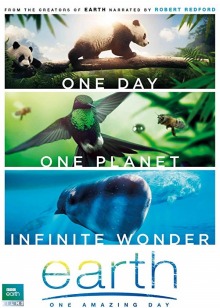 Affiche : trois photos en bannière (large). Deux petits ours panda marchant sur une branche ; un oiseau vert volant près d'abeilles ; deux baleines dans l'eau bleu.
