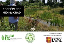 Affiche : photo d'un homme vu de dos, cheveux blancs, qui regarde un ruisseau dans un champ sauvage. « conférence midi du CRAD »