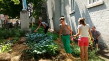 Photo: quatre personnes en action au potager de Verdir Saint-Roch: jardin très vert au bord de l'ancienne église tout près de la rue.