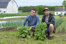 Alexandre Faille agenouillé avec des plants et un collègue sur une terre agricole, avec les bâtiments de la ferme en arrière-plan.