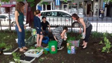 Photo de cinq de bénévoles faisant du jardinage sur le terrain de la Nef, c'est-à-dire le long d'un arbre au bord de la rue Saint-Joseph : deux femmes, deux filles et un homme.